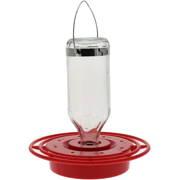 Birds Choice Best Hummingbird Feeder & Reviews Wayfair Canada